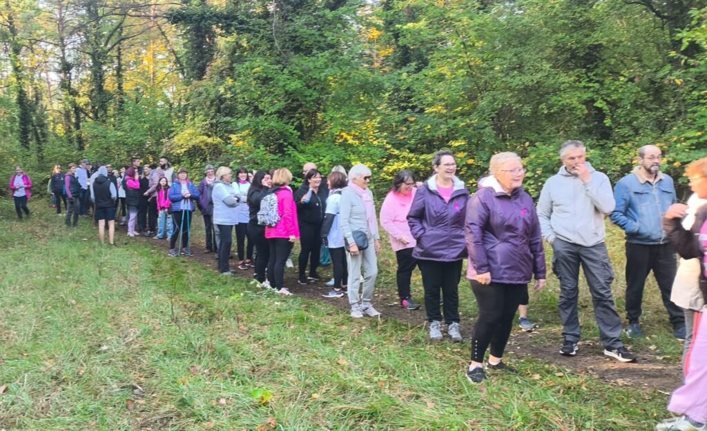 239-octobre-rose2025