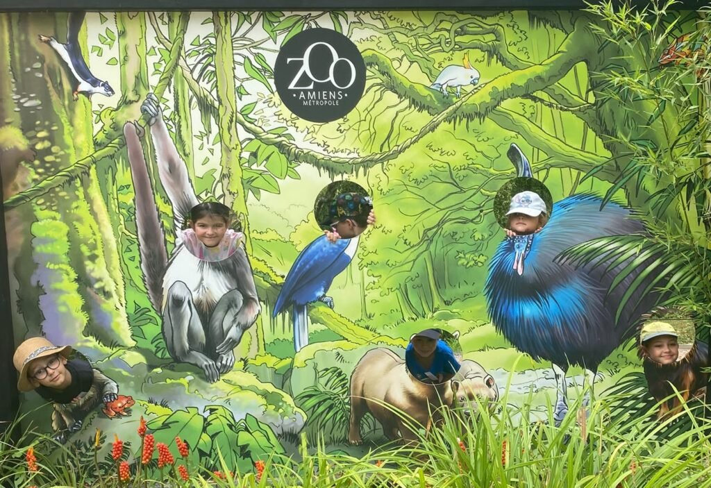 367-zoo-amiens-2e-groupe