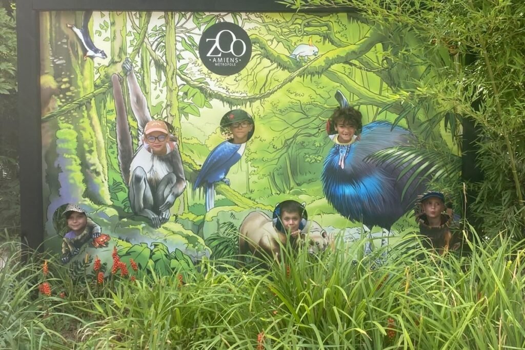 386-zoo-amiens-3e-groupe