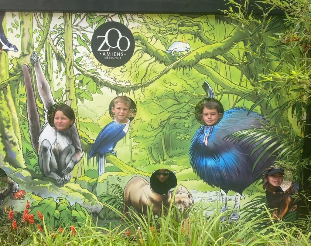 387-zoo-amiens-3e-groupe